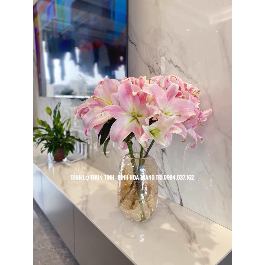 Bình Hoa Thủy Tinh Rạn Cắm Hoa Siêu Đẹp - Bình Hoa Màu Khói