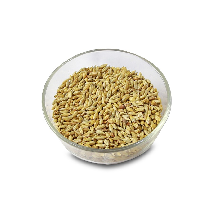 Malt nấu bia Melanoidin Malt