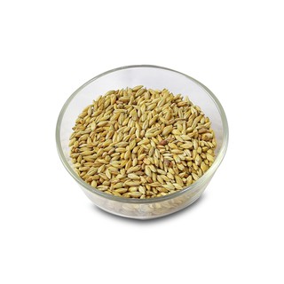 Malt nấu bia Melanoidin Malt