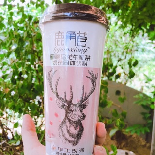 TRÀ SỮA TỰ PHA