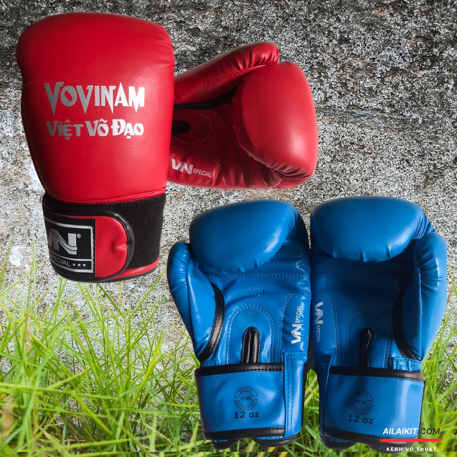 Găng Vovinam Boxing Ruột Đúc ️🥊 Vovinam Cổ Truyền, Muay, Kickboxing Aitilait