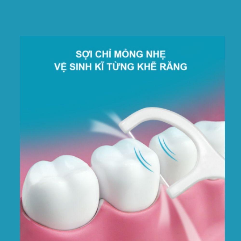 Tăm Chỉ Nha Khoa Chăm Sóc Và vệ sinh Răng Miệng Gói 50 cái VECOM