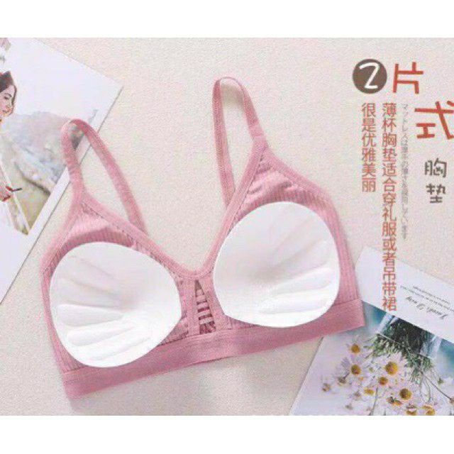 Áo Bra Cotton Nhiều Màu Mã 8816 | BigBuy360 - bigbuy360.vn