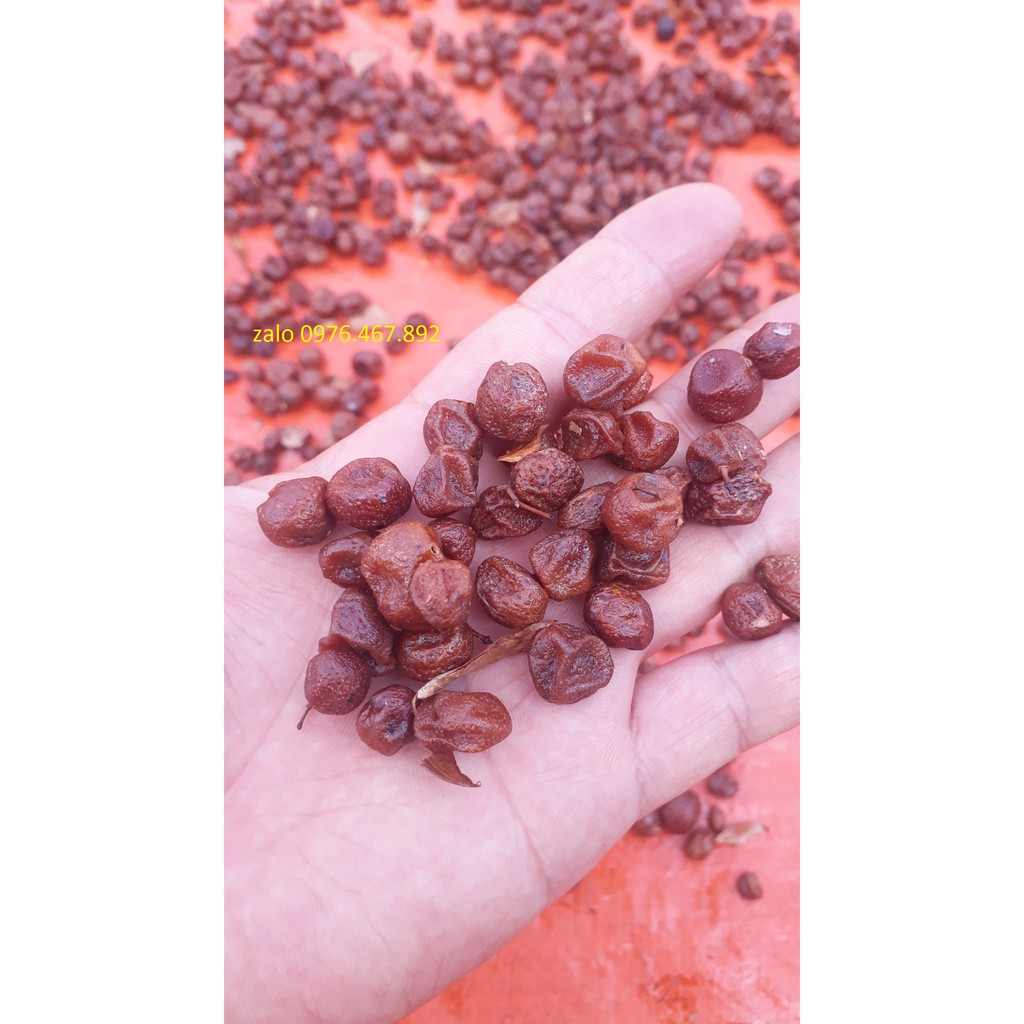 Quả mác mật khô gia vị vịt quay Lạng Sơn (500gram)