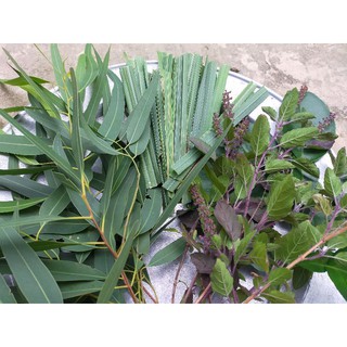 Lá xông khô giải cảm (gói 100gr)
