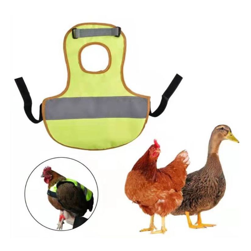 Lucky Hen Áo Dệt Kim Cổ Lọ Hình Gà Con Dễ Thương Giản Dị