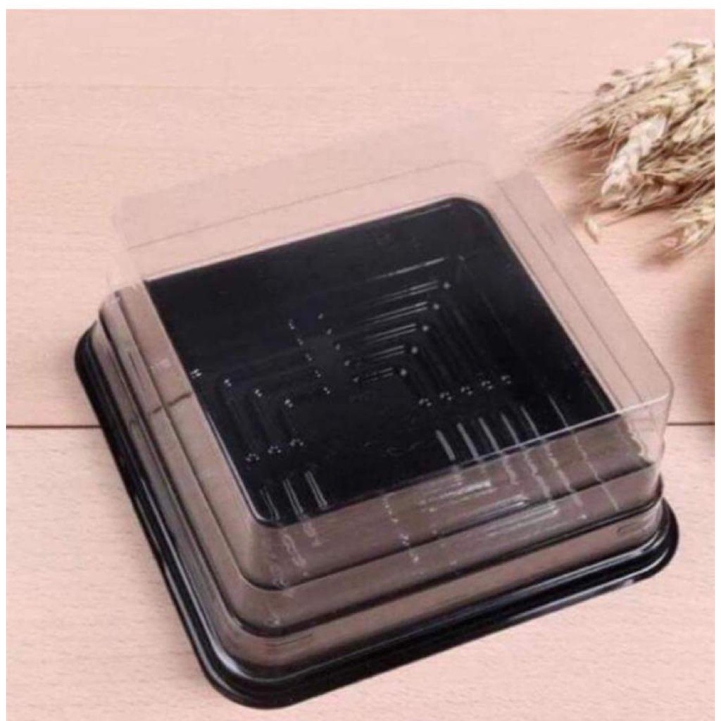10 HỘP NHỰA VUÔNG ĐẾ ĐEN 250GR XY12-12