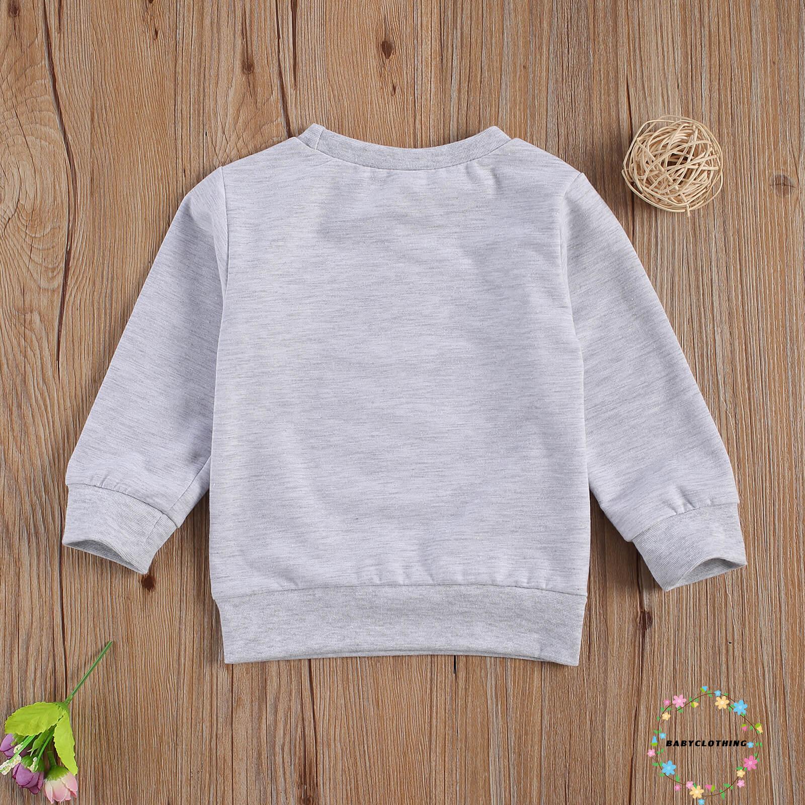 BBCQ-Kid Girl Floral Top, Fall Shirt, Round Neck Long-Sleeve Casual Elastic Cuff Hem Windproof Warm Blouse