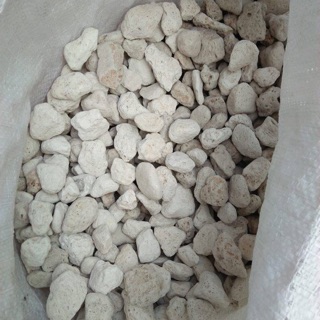 Đá Bọt Indo giá thể trồng Lan