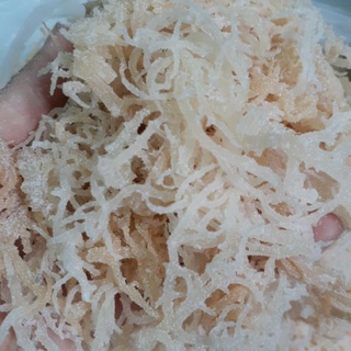 Rong sụn muối/ rong sụn gai nấu chè, làm gỏi 500g