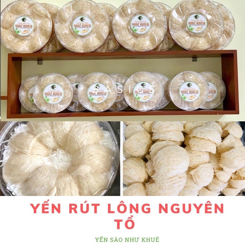 Yến Rút Lông Nguyên Tổ Như Khuê