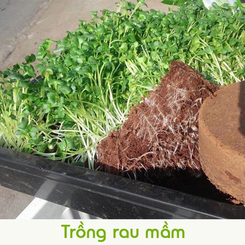 Đất nén hữu cơ mụn sơ dừa bánh lớn đã xử lý dùng trồng rau củ quả, hoa cảnh