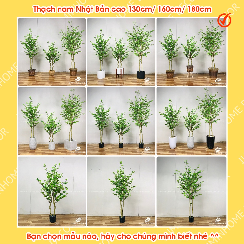 Cây giả, Cây thạch nam giả - Cây giả decor trang trí nhà cửa nội thất phòng khách phòng ngủ