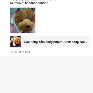Gấu Bông ,Chó bông pitpun 60cm hàn