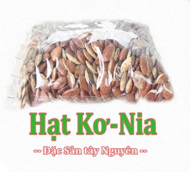 1kg Hạt Kơ nia Rừng Đaklak Béo Ngậy, Giòn Thơm, Giàu Dinh Dưỡng 100% Tự Nhiên Không Hóa Chất,konia, ko nia