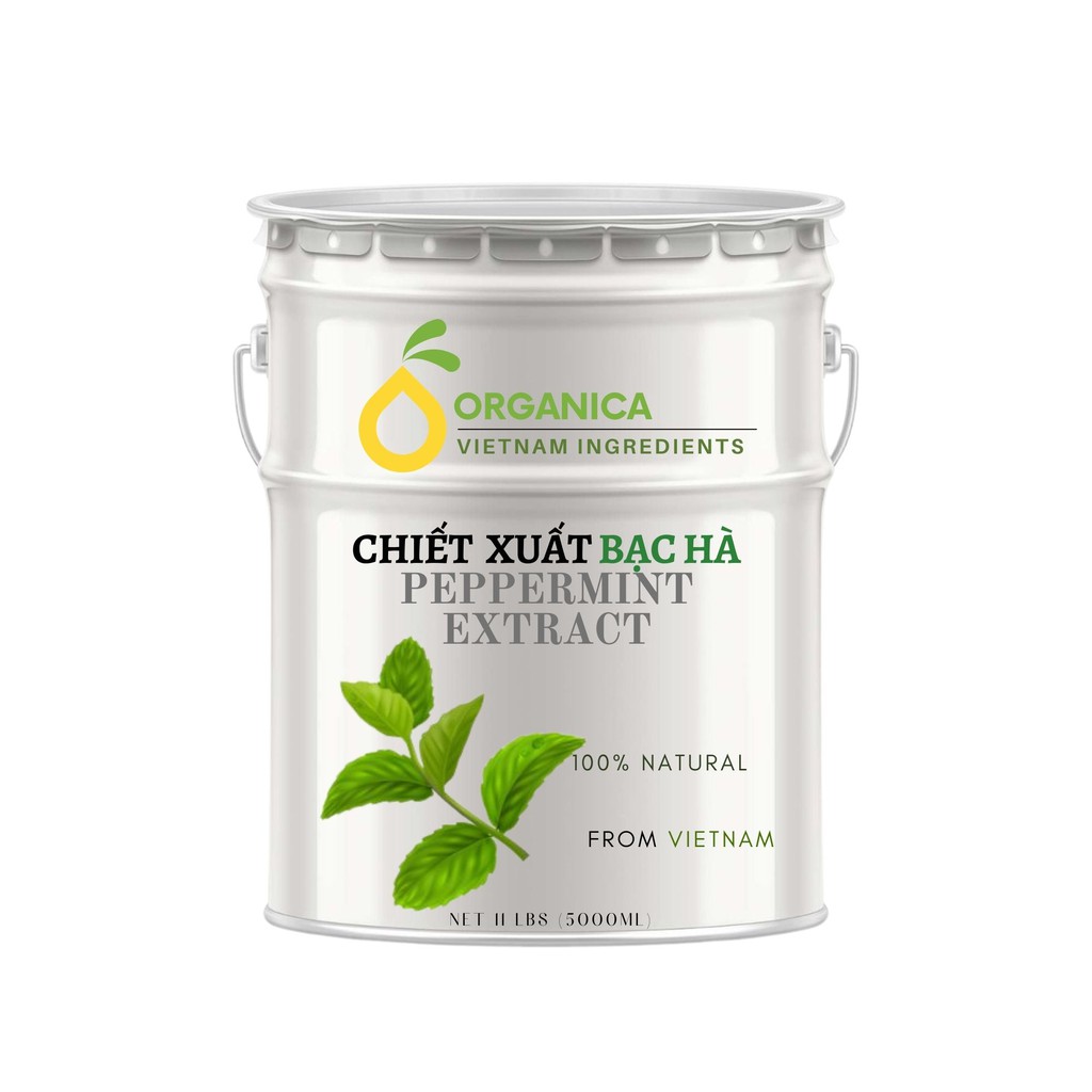 Chiết xuất bạc hà (Peppermint extract) - Chiết xuất thiên nhiên (Natural Extract)