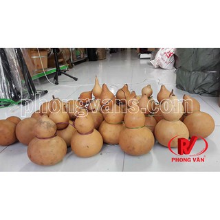 Quả bầu nậm hồ lô đựng rượu