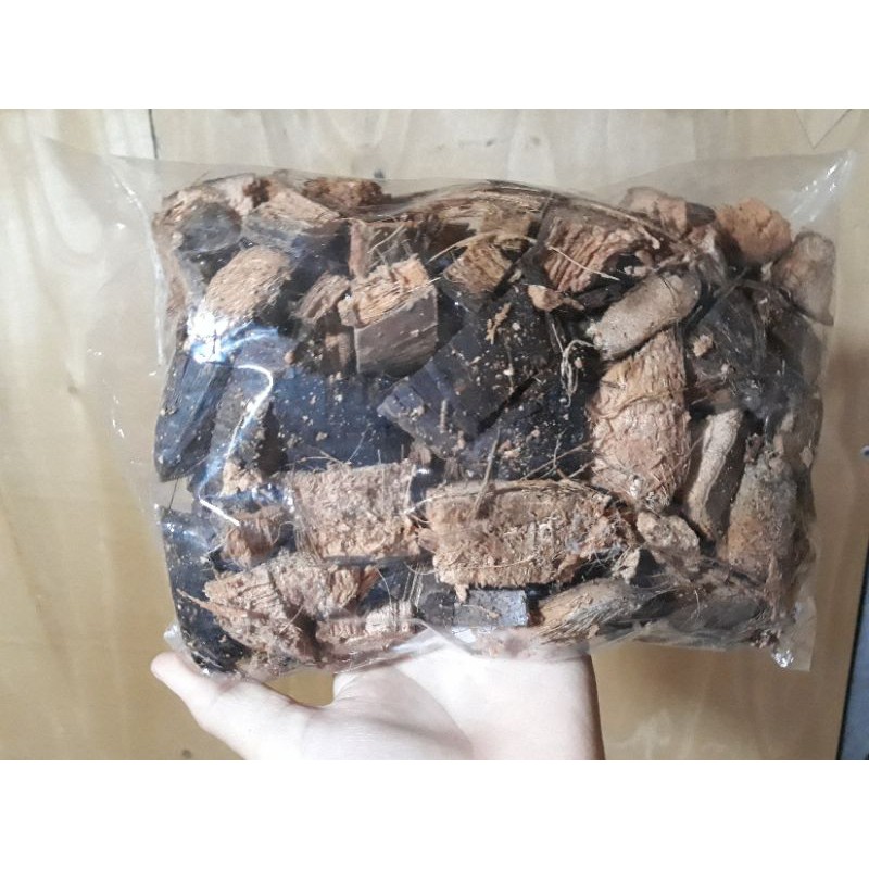 Vỏ Sơ Dừa Nguyên Miếng Đã Qua Xử Lý Giá Thể Trồng Lan Và Hoa Kiểng