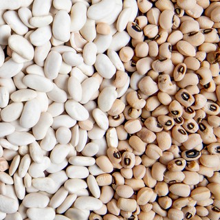 ĐẬU TRẮNG 2 LOẠI - ĐẬU TRẮNG BI/DÀI - ĐẬU NẤU CHÈ