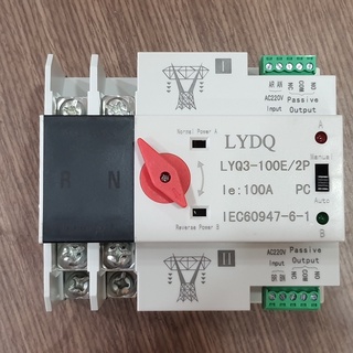 ATS mini tự động chuyển mạch nhanh 220V 2P 100A LYDQ-100/2P