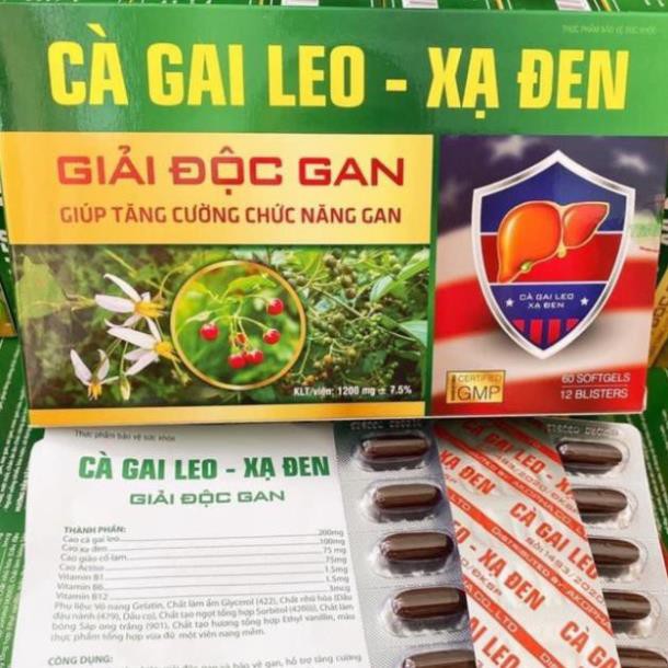 Cà gai leo xạ đen giải độc gan tăng cường chức năng gan hiệu quả hộp 60 viên