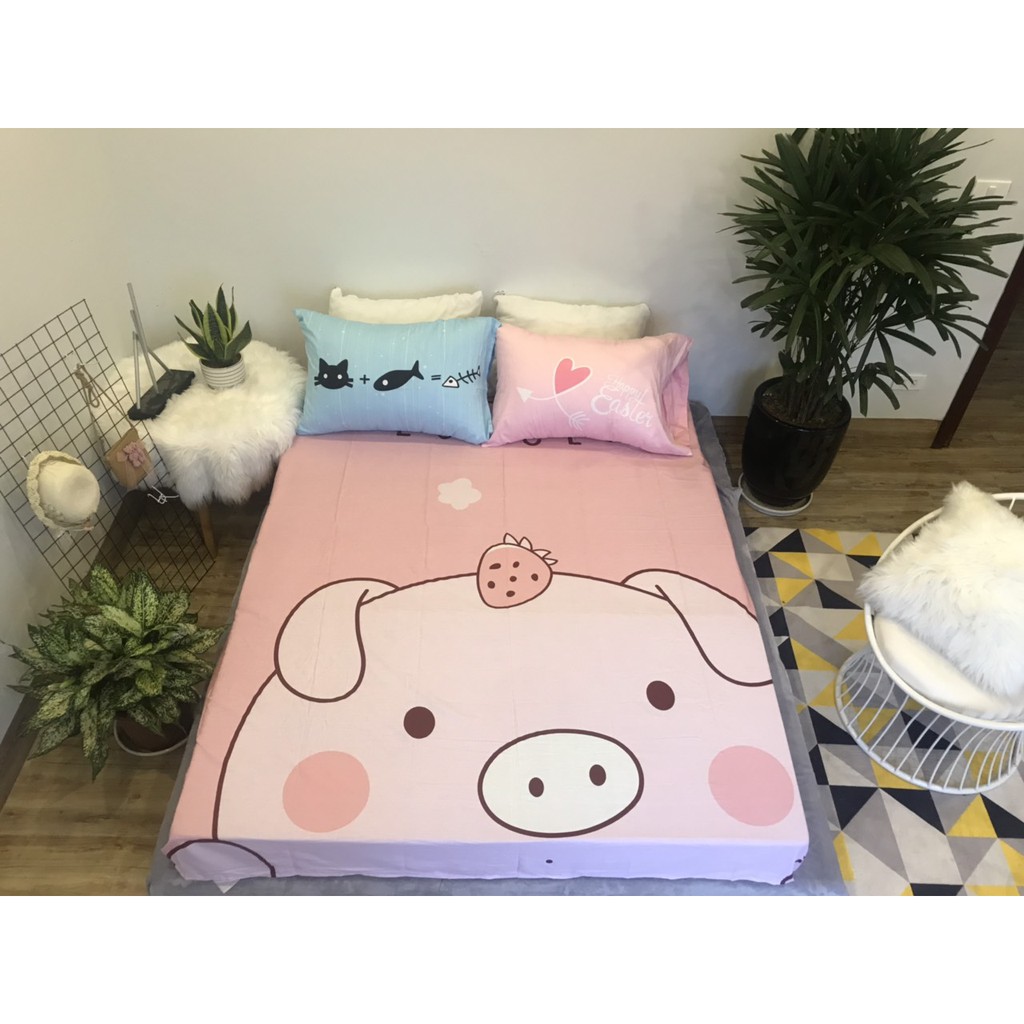 Set ga gối cotton 100% siêu cute ( 1 ga+ 2 vỏ gối)