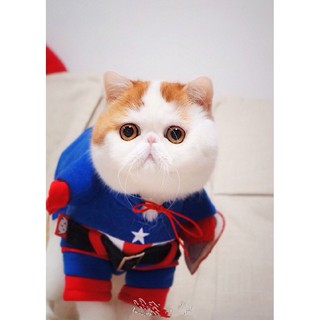 Áo chó mèo cosplay Captain A54