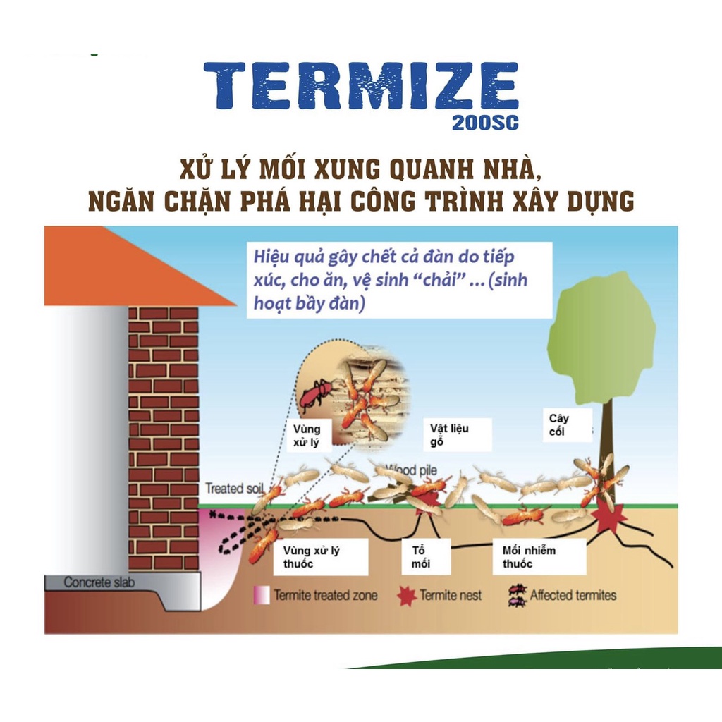 Thuốc diệt mối cả đàn Termize 200SC