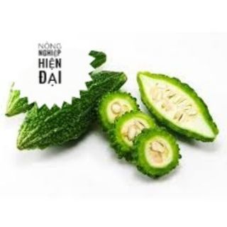 Hạt giống khổ qua rừng 10H
