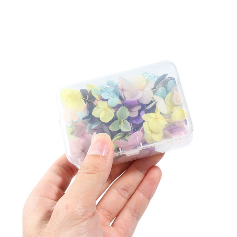 [Hàng mới về] Hộp hoa khô dùng để trang trí móng tay nghệ thuật