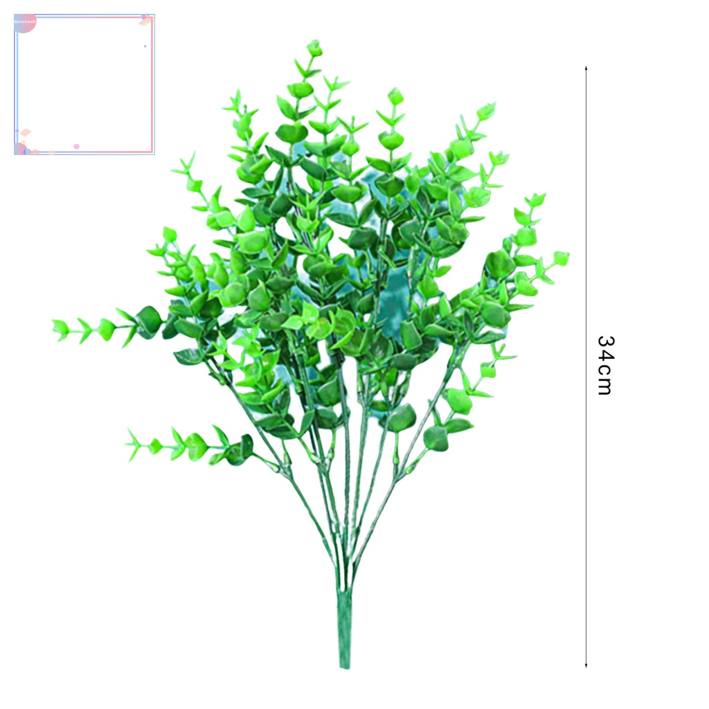 Cây Khuynh Diệp 7 Nhánh Chuyên Dụng Trang Trí Sân Vườn