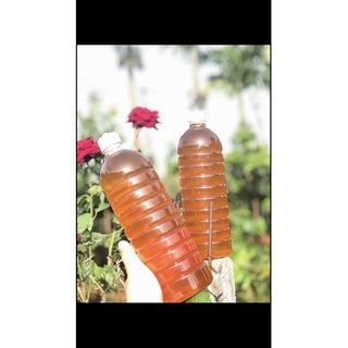 mật ong Đắk Lắk
