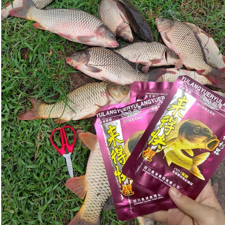 Thính Câu Cá Chuyên Chép Trắm,Gói Thảo Mộc Chép Vàng Siêu Nhạy Chuyên Dụng Cho Câu Chuyên Nghiệp