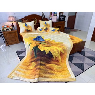 Mền/chăn thun lạnh 5D (1m65x2m)
