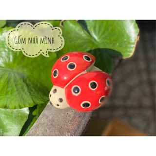 Bọ rùa xoè cánh (cỡ nhỏ)