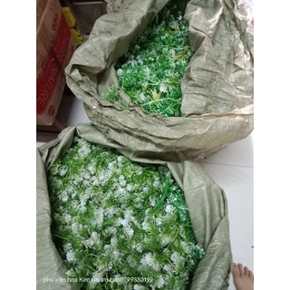 1kg cỏ điểm trộn mẫu