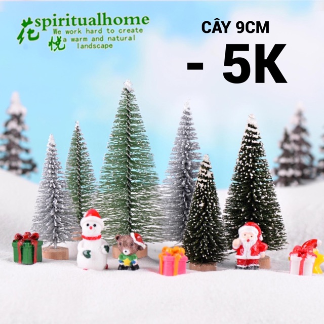 cây thông noel