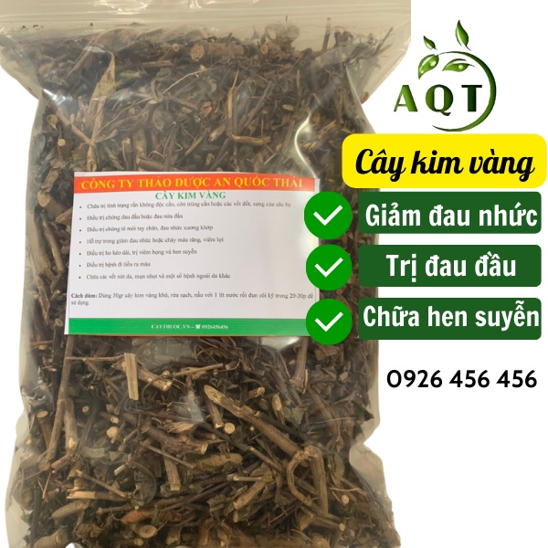 Cây Kim Vàng 1KG Phơi Khô, Giảm Đau Xương Khớp, Ngừa Hen Suyễn