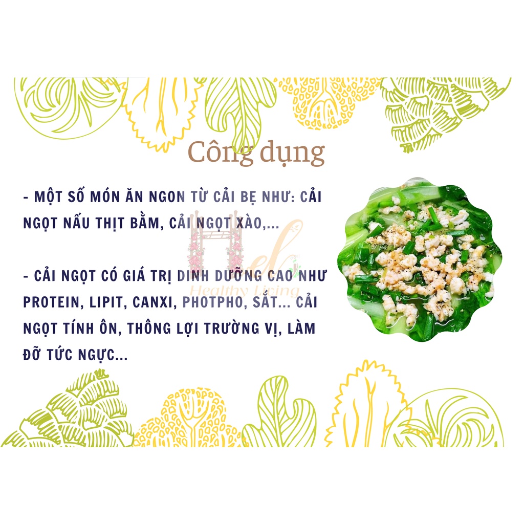 Hạt Giống Rau Cải Ngọt (Cao Sản Giòn Ngọt) - Trồng Hạt Giống Rau Củ Quả Bằng Đất Sạch, Xơ Dừa, Mùn Dừa, Phân Bón Hữu Cơ