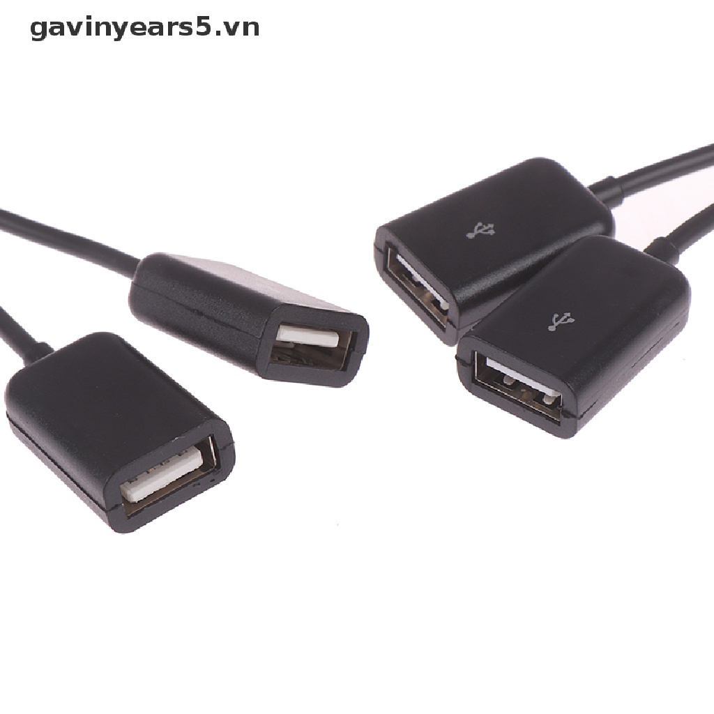 Bộ chuyển đổi chia 2 cổng USB/ Type C sang 2 cổng OTG tiện lợi