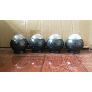 Mắt lân sư rồng