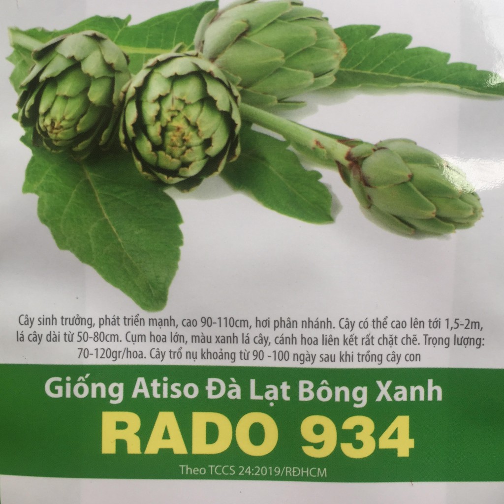 Hạt Giống Atiso Đà Lạt Bông Xanh (RADO934) 2gr