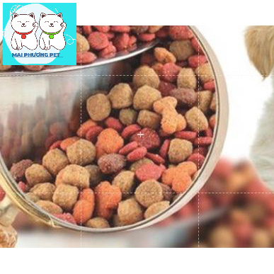 HN-Thức ăn dạng viên cho chó APRO - xuất xứ Thái Lan - dùng cho chó mọi lứa tuổi - gói 500gr