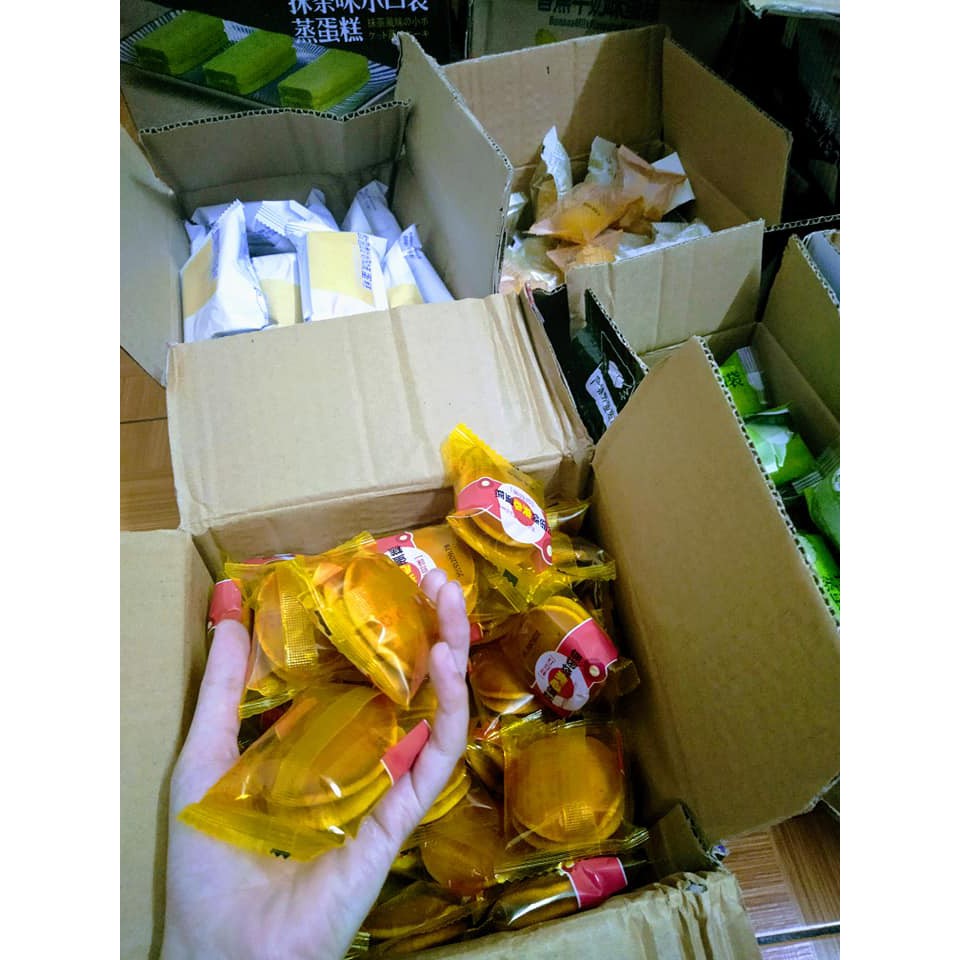 Bánh sữa chua