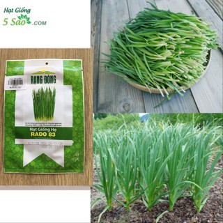 Hạt Giống Hẹ RĐ 83