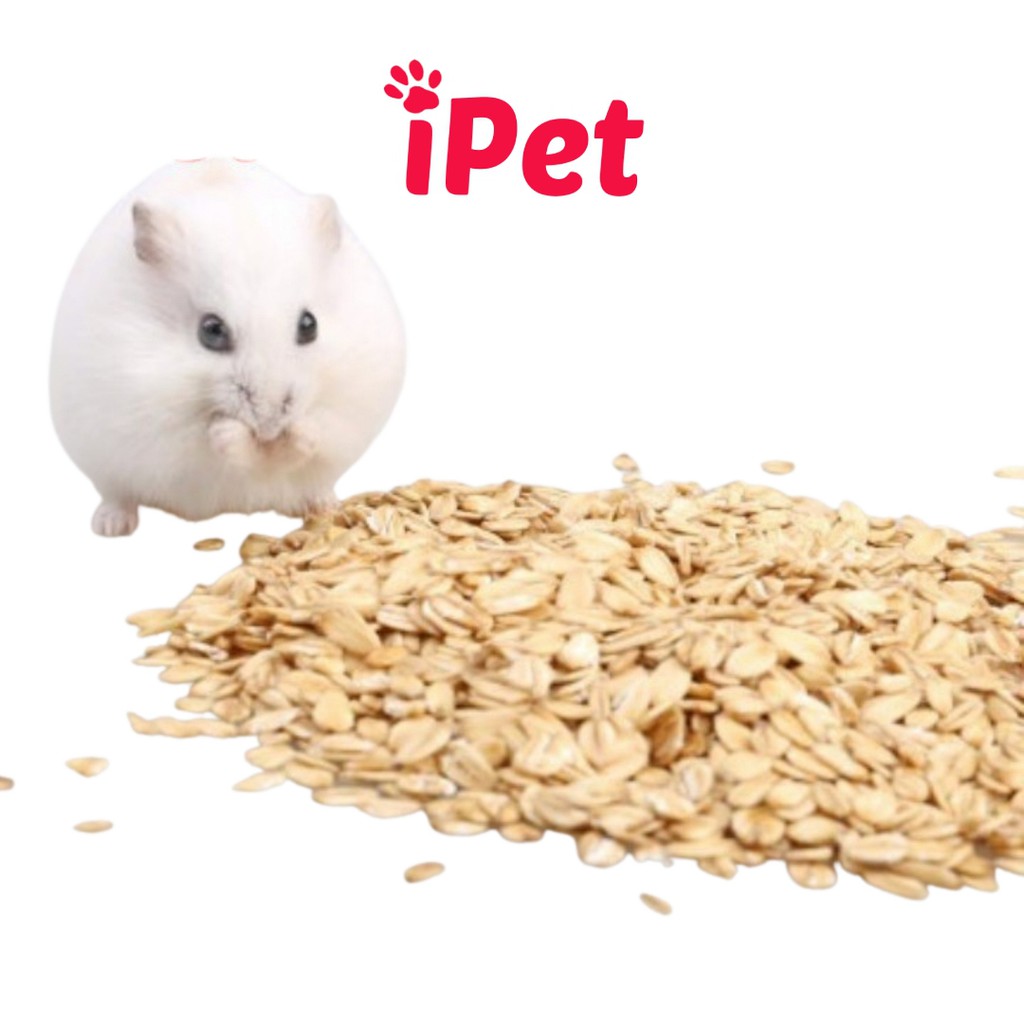 Thức Ăn Hamster Yến Mạch Sữa Dinh Dưỡng - iPet Shop