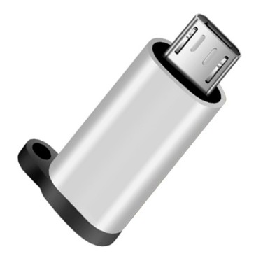 Type C 3.1 to Micro USB Adapter Chuyển đổi cổng sạc Type-C sang Micro USB có kèm móc khóa