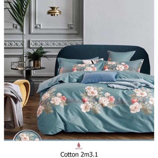 Bộ drap hàn quốc 100% cotton