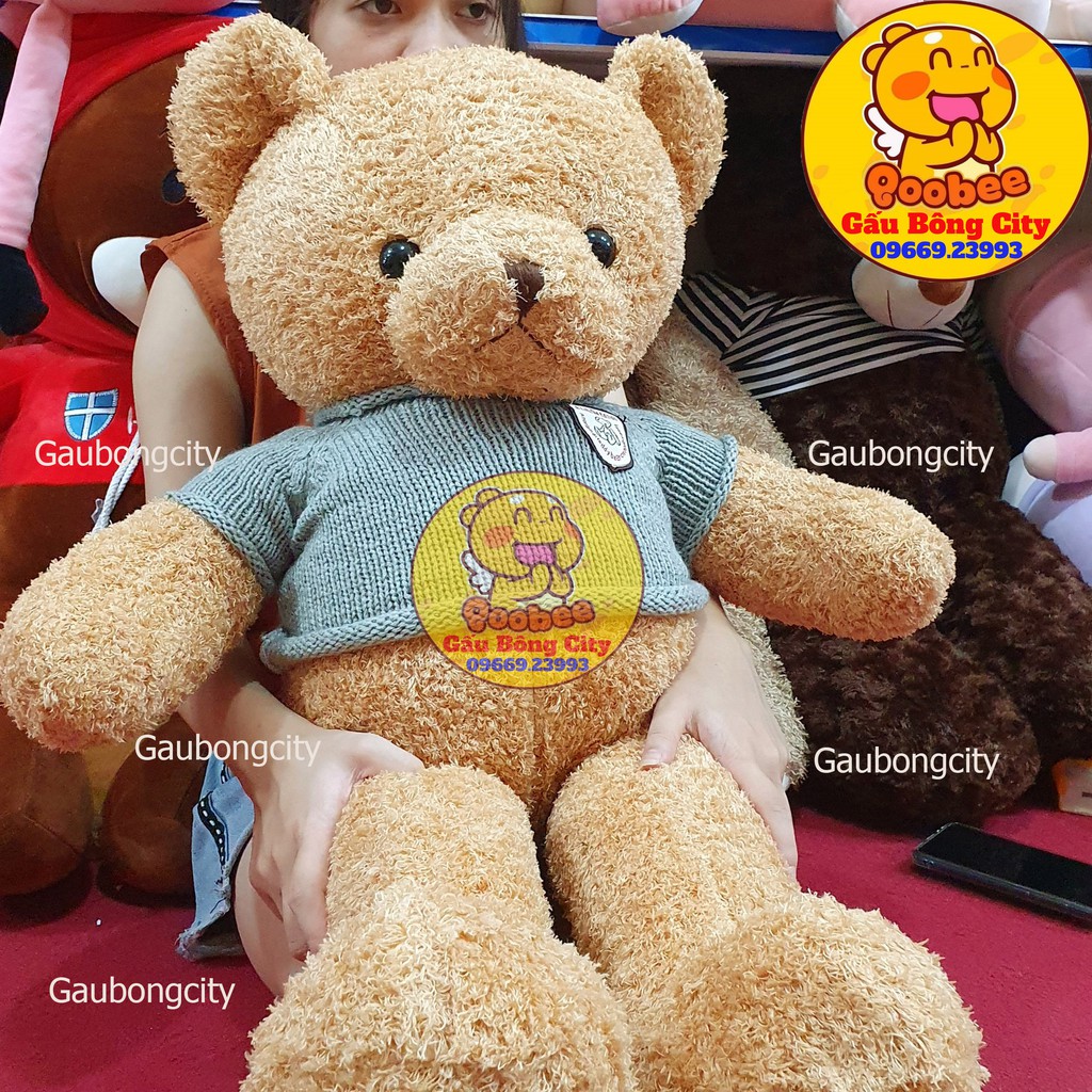 Gấu Bông Teddy Chỉ Mềm Mượt Cao Cấp Quà Tặng Ý Nghĩa Gấu Bông City