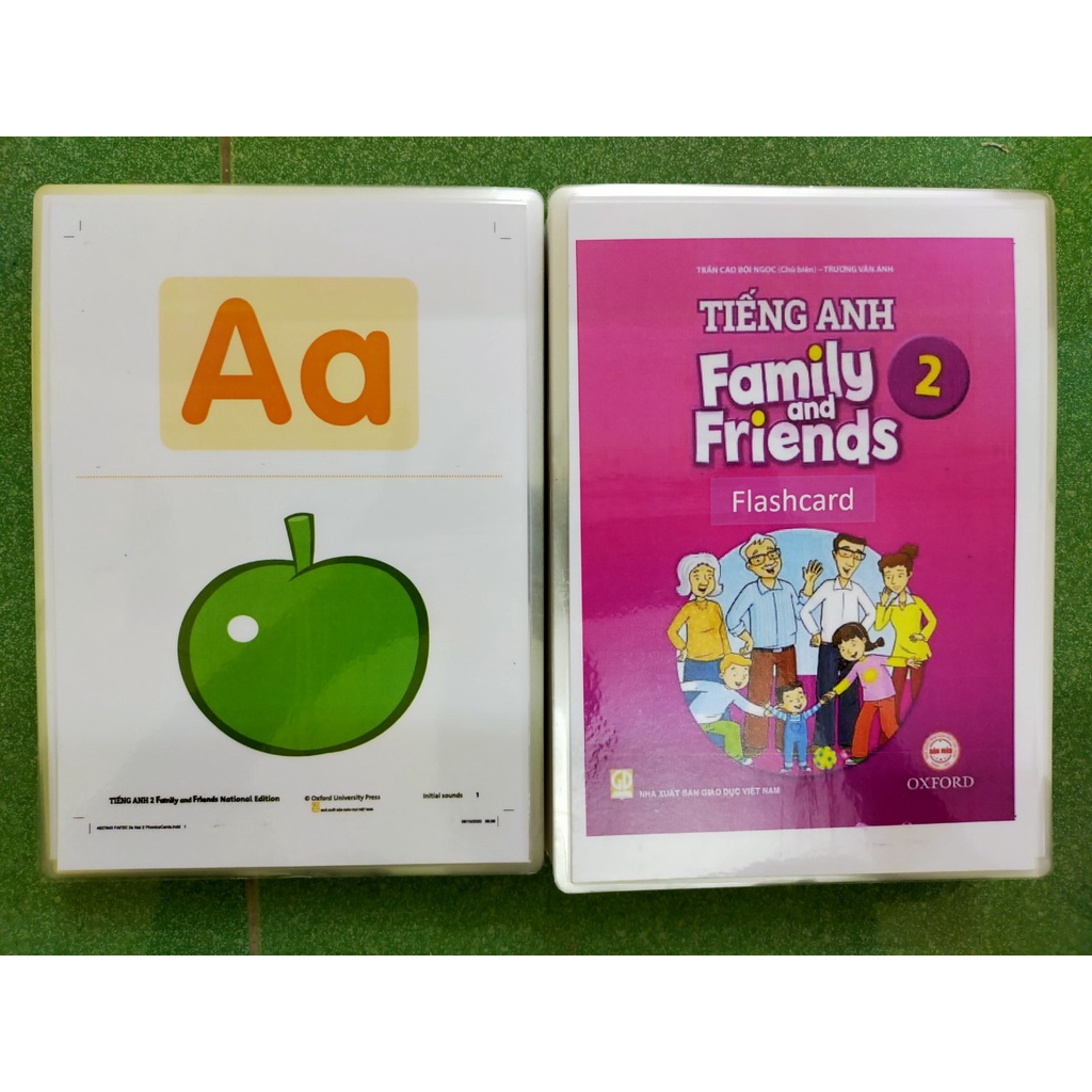 Flashcard Family and Friend National Edtion 2